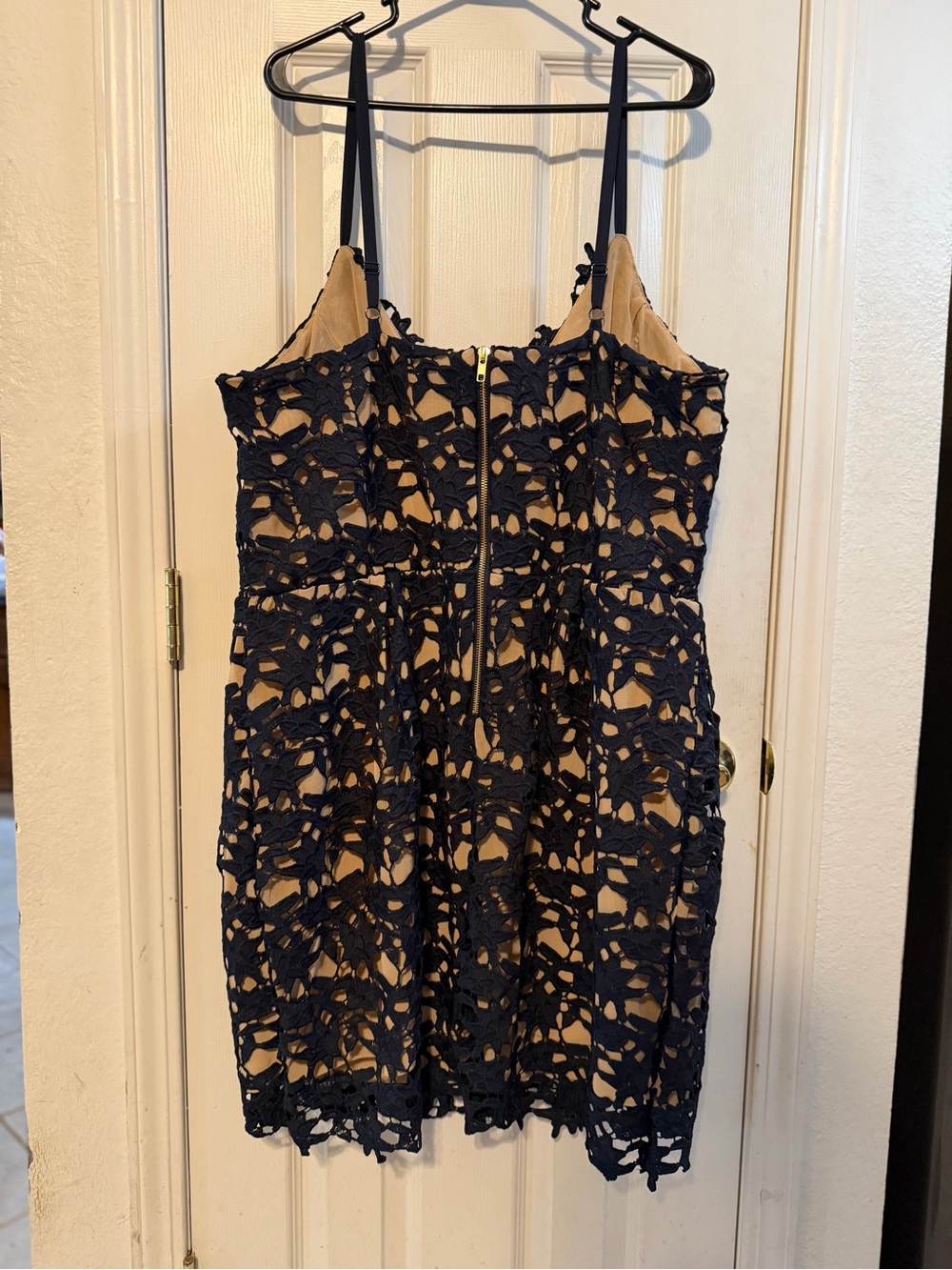 City Chic Navy Lace Overlay Dress with Nude Lining - Picture 9 of 10